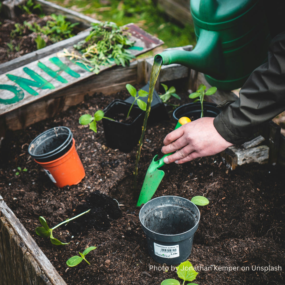 Top 10 Gardening Tips for Beginners