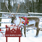 Personalized Christmas Address Garden Stake