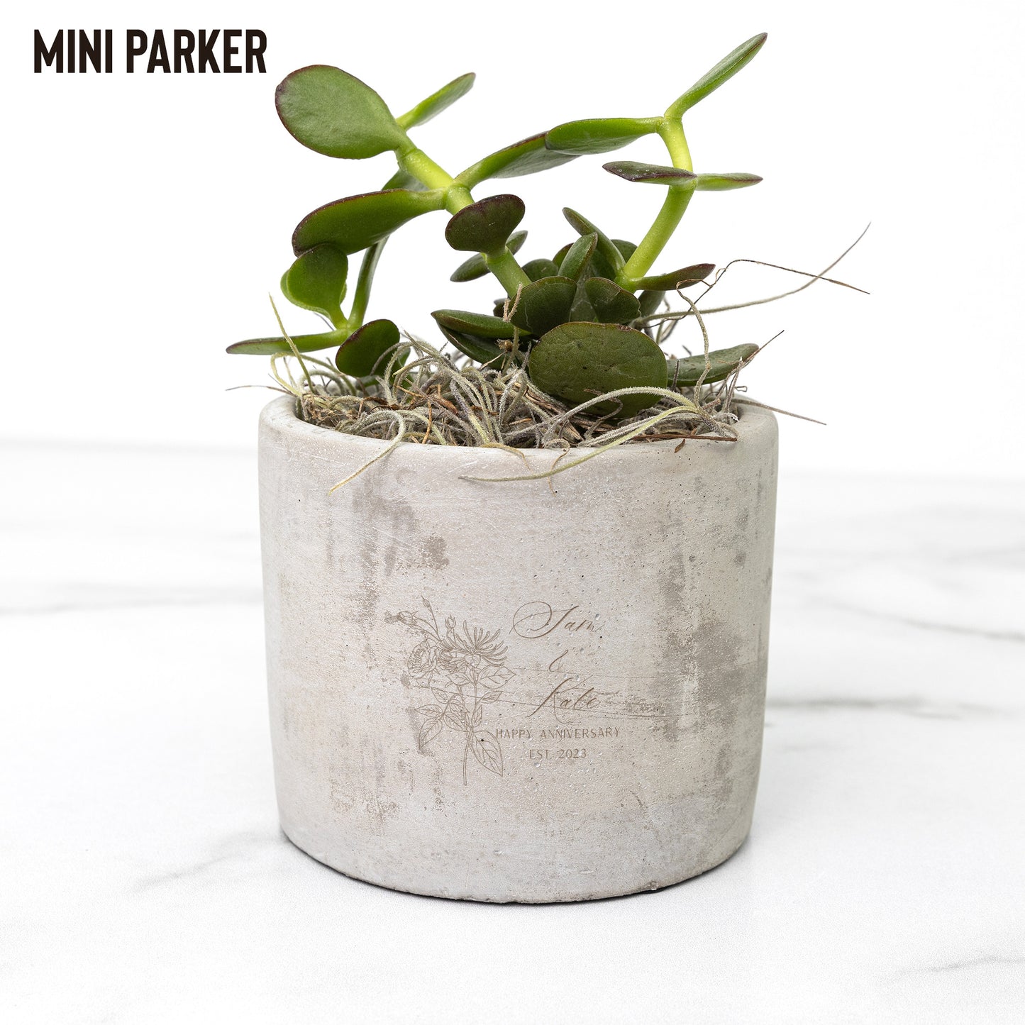 Mini Desk Plant Pot Trio