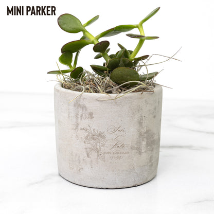 Mini Desk Plant Pot Trio