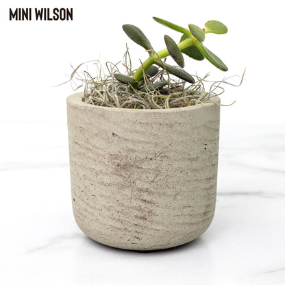 Mini Desk Plant Pot Trio