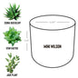 Mini Desk Plant Pot Trio